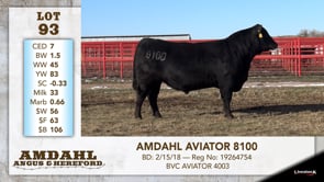 Lot #93 - AMDAHL AVIATOR 8100