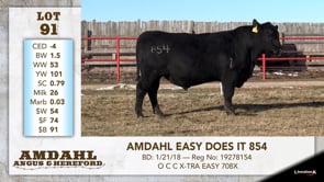 Lot #91 - AMDAHL EASY DOES IT 854
