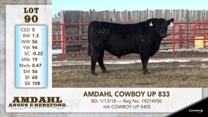 Lot #90 - AMDAHL COWBOY UP 833