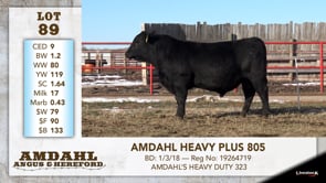 Lot #89 - AMDAHL HEAVY PLUS 805