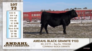 Lot #73 - AMDAHL BLACK GRANITE 9103