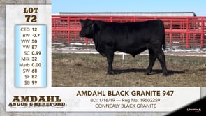 Lot #72 - AMDAHL BLACK GRANITE 947