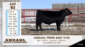 Lot #61 - AMDAHL PRIME BEEF 9100