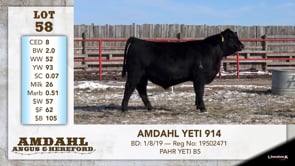 Lot #58 - AMDAHL YETI 914