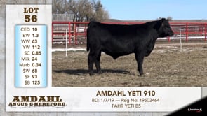 Lot #56 - AMDAHL YETI 910