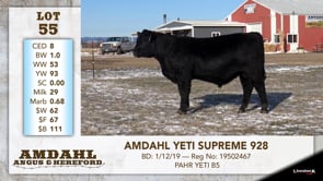Lot #55 - AMDAHL YETI SUPREME 928