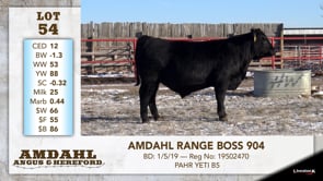 Lot #54 - AMDAHL RANGE BOSS 904