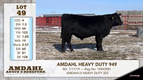 Lot #49 - AMDAHL HEAVY DUTY 949