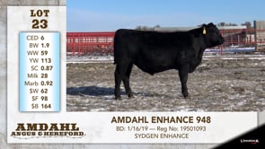 Lot #23 - AMDAHL ENHANCE 948