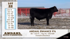 Lot #22 - AMDAHL ENHANCE 976
