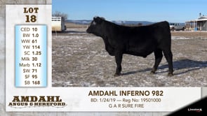 Lot #18 - AMDAHL INFERNO 982