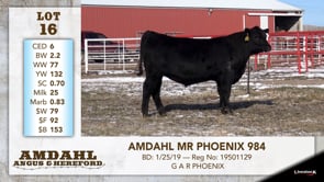Lot #16 - AMDAHL MR PHENIX 984