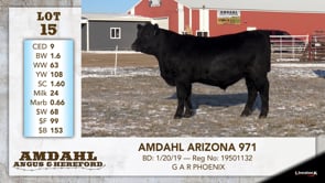 Lot #15 - AMDAHL ARIZONA 971