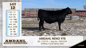 Lot #11 - AMDAHL GRAN TORINO 945