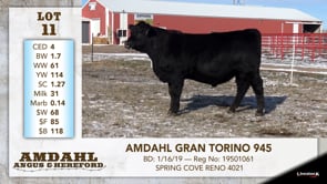Lot #10 - AMDAHL GUARDIAN 920