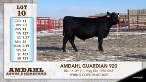 Lot #9 - AMDAHL NEVADA 970