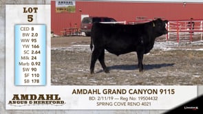 Lot #5 - AMDAHL GRAND CANYON 9115