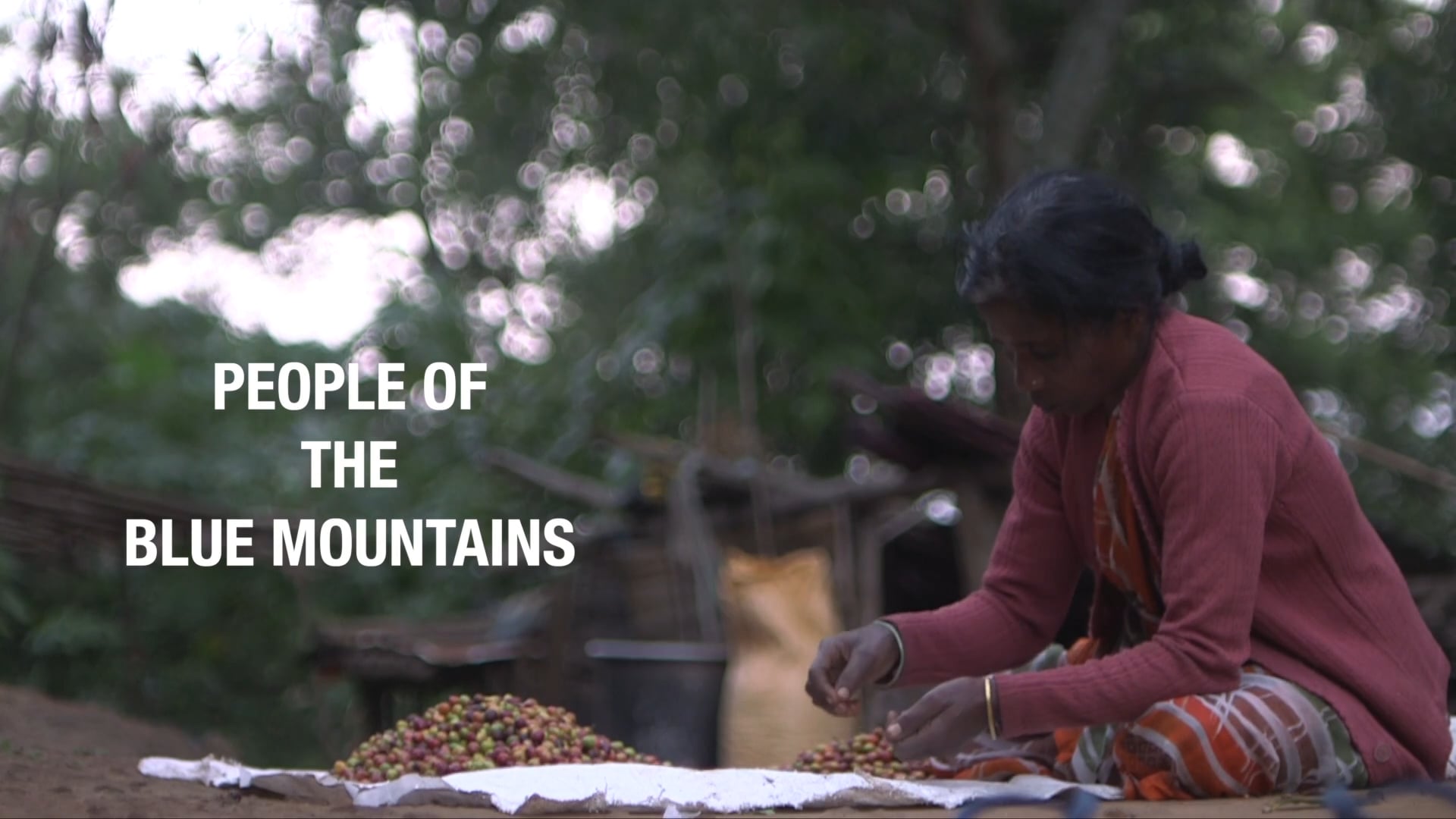 People of the Blue Mountains