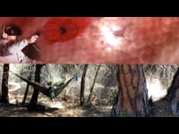 Feeling the Sun's rotation and energy from nature and VR