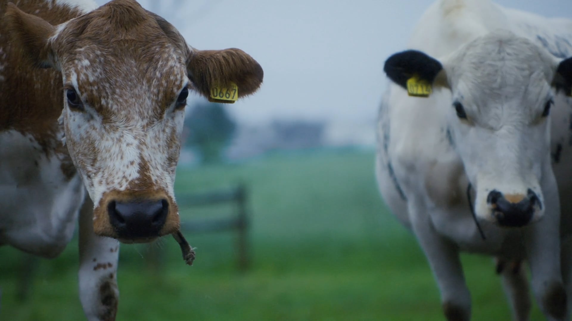 Visit Norway Taste The Picture