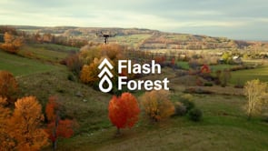 Flash Forest | Kickstarter