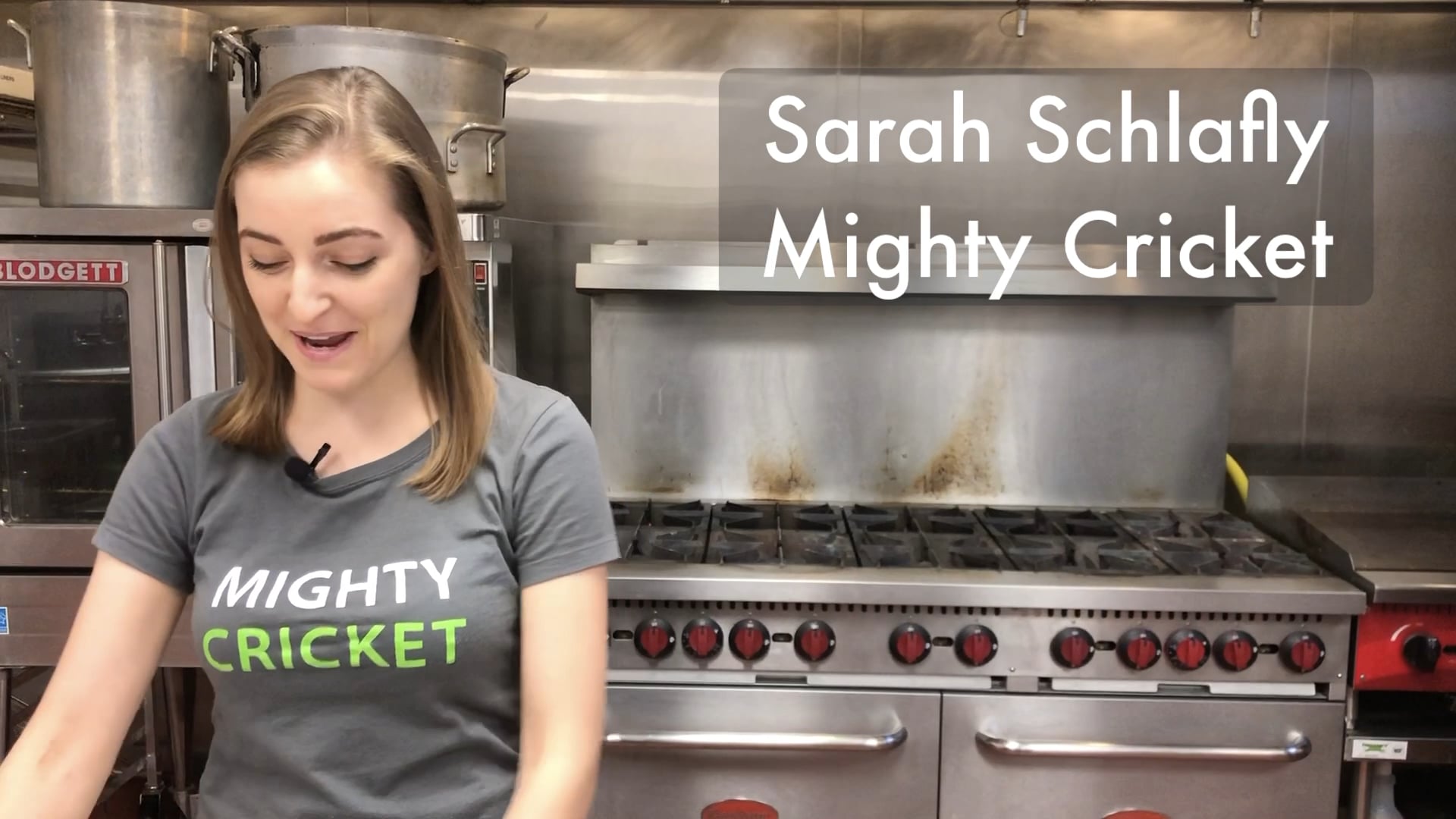 Mighty Cricket wants St. Louis to eat more insects