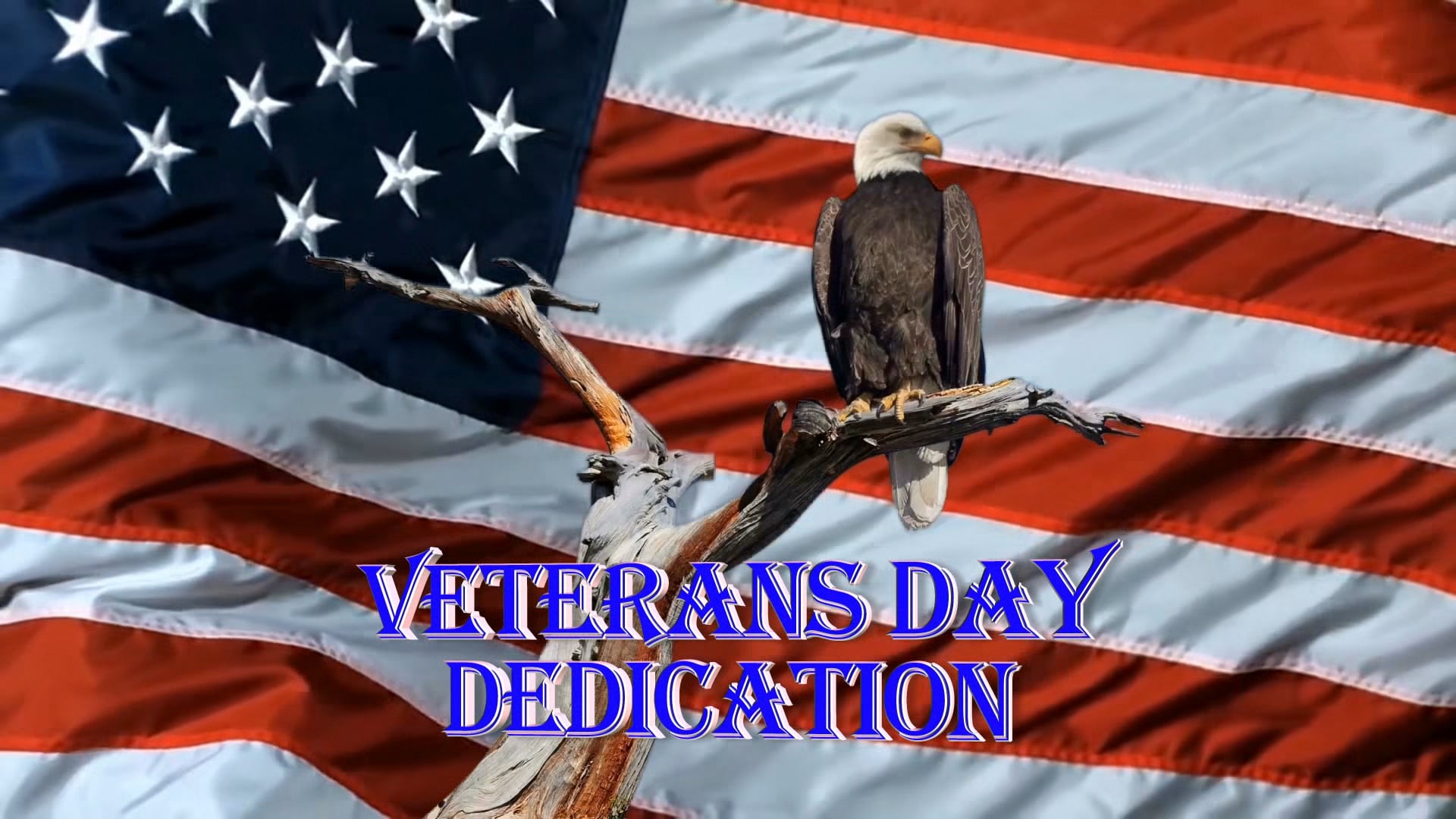 10 fun facts about veterans day