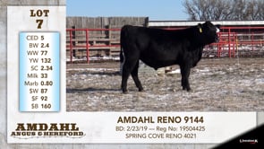 Lot #7 - AMDAHL REMO 9144
