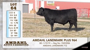 Lot #64 - AMDAHL LANDMARK PLUS 964