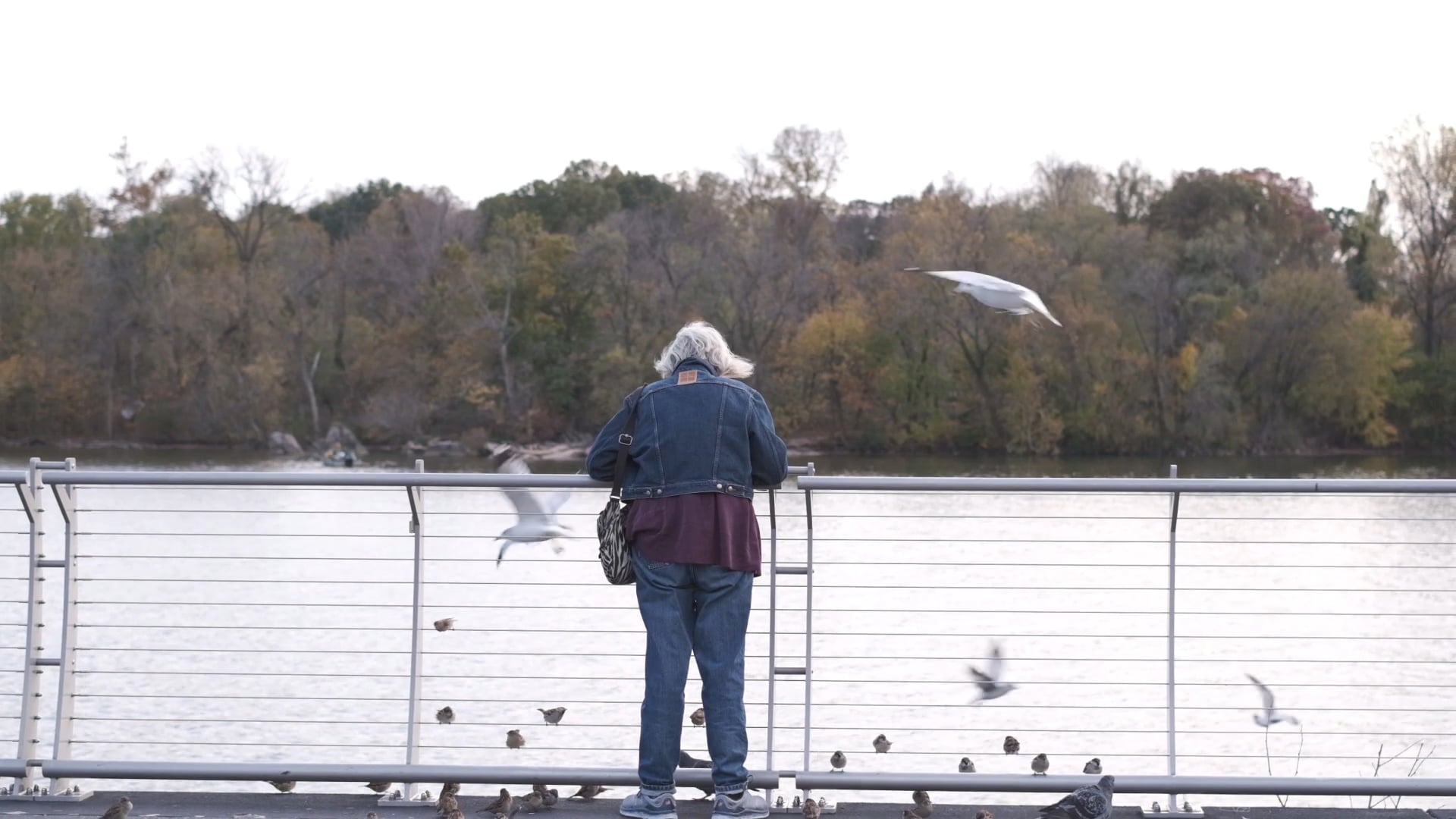 Winter is here | Fujifilm X-T3 | Washington DC | Nov. 2019
