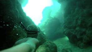 Free Dive World