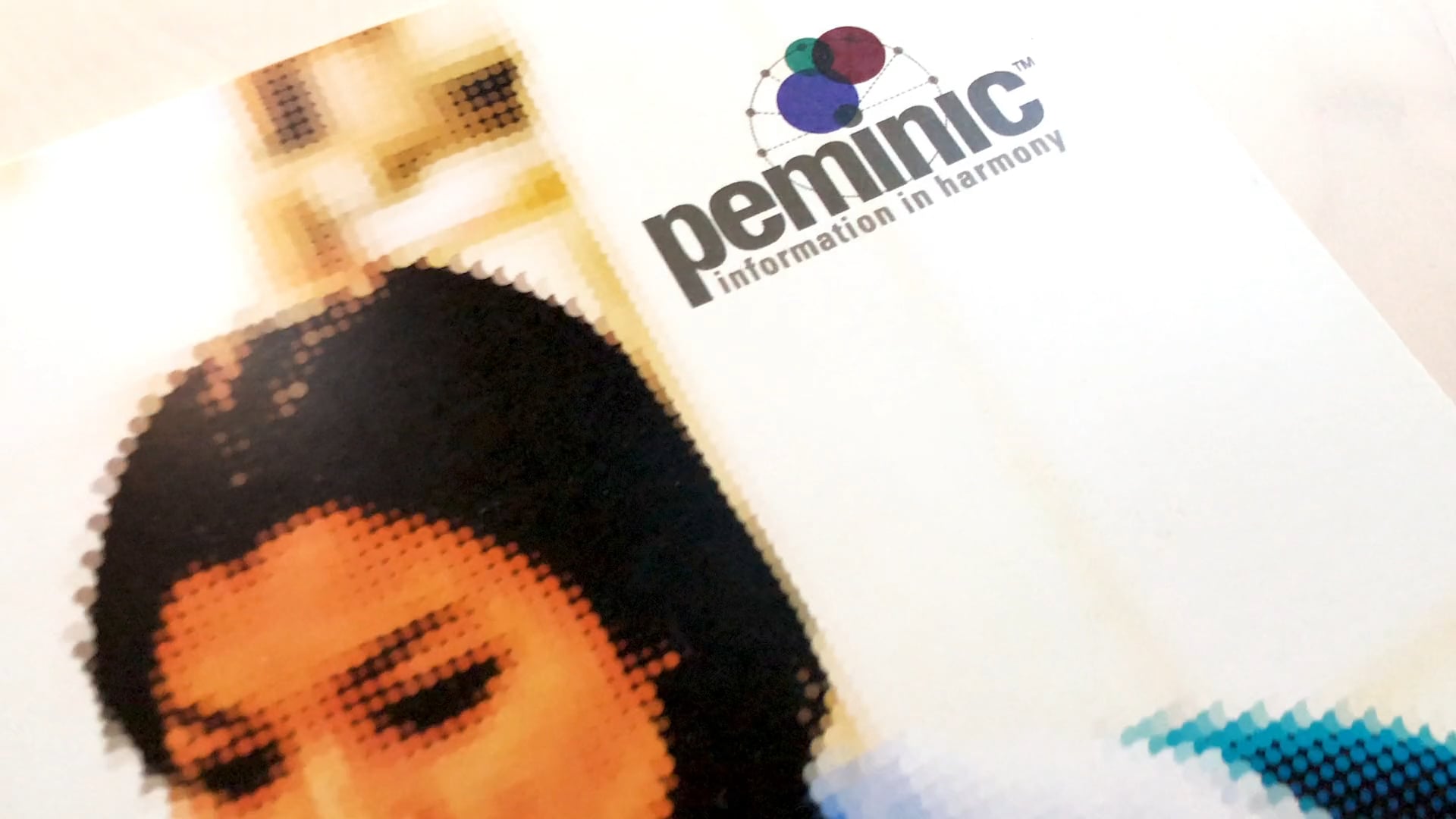 Brochure Branding - Peminic