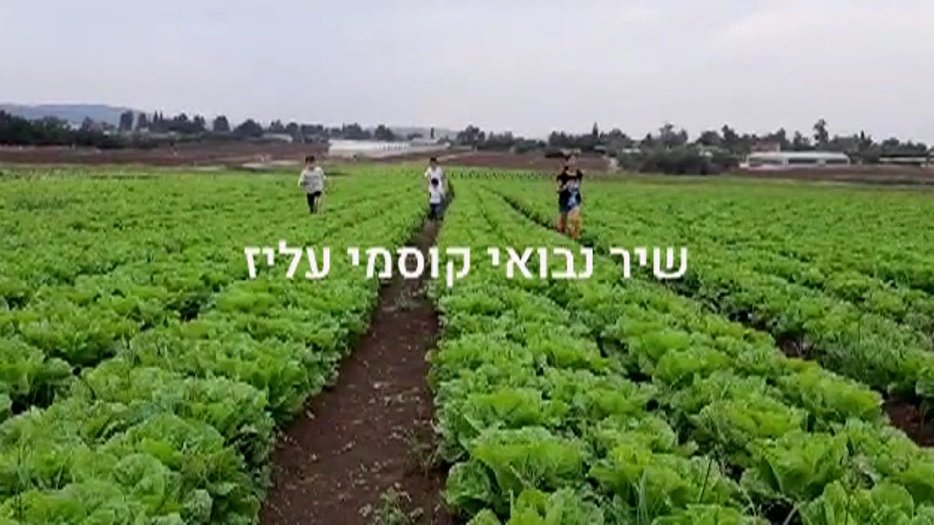 שיר משפחה לכבוד בר מצווה של ברק