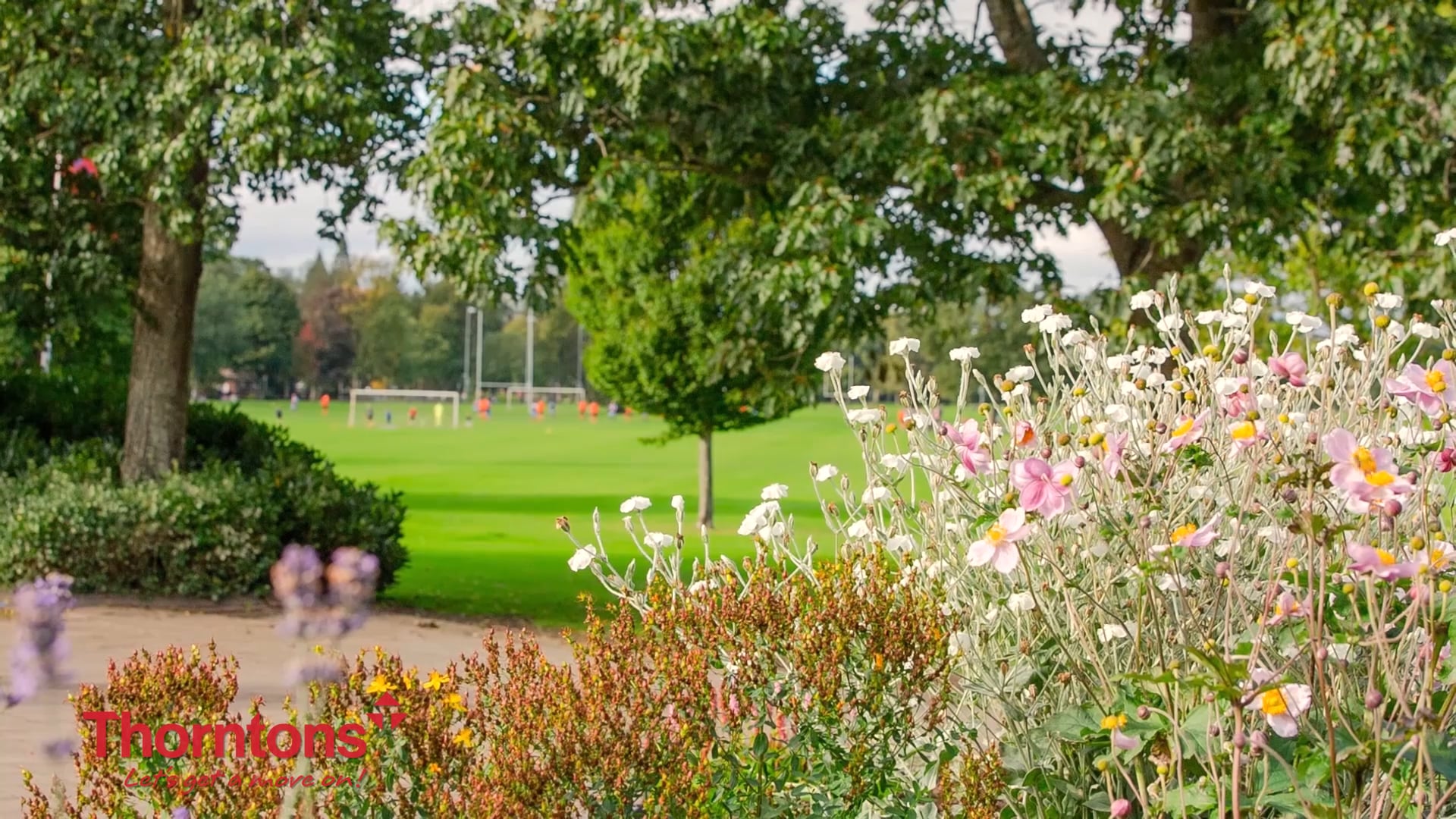 Thorntons Perth on Vimeo