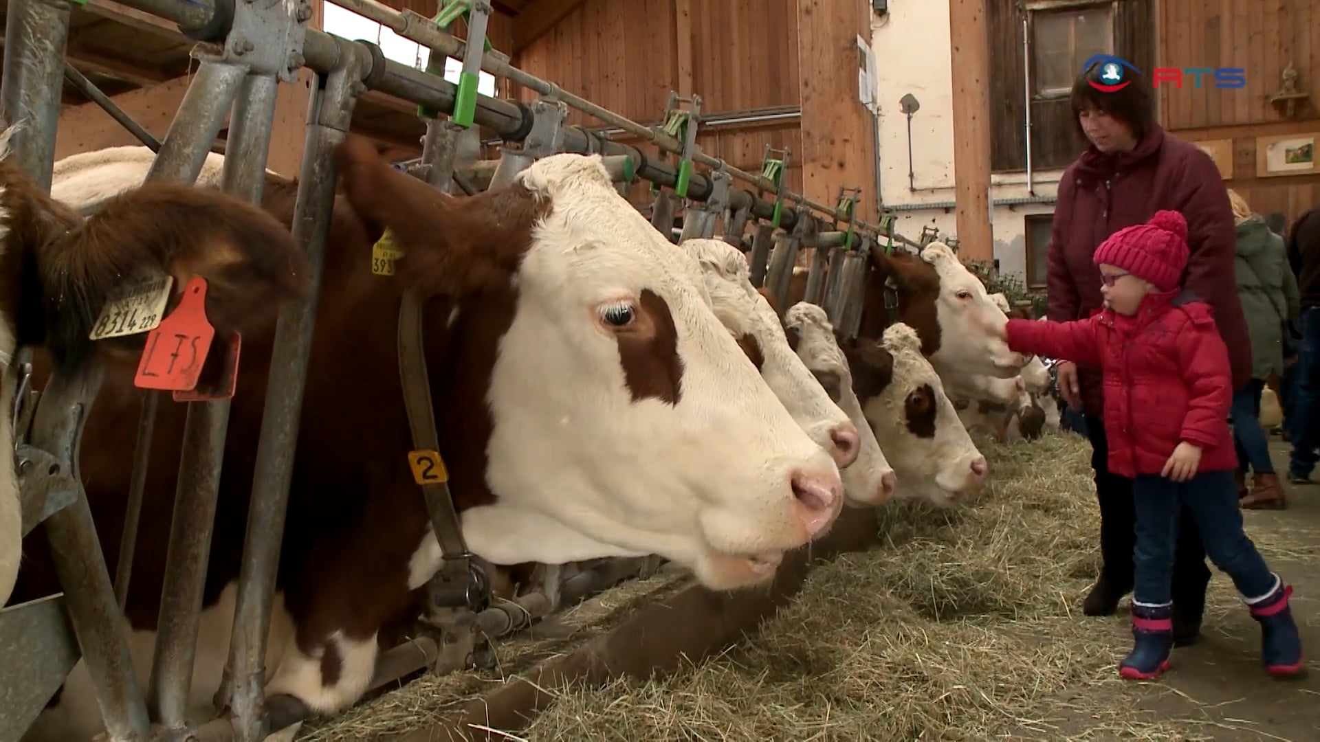 die-landwirtschaftliche-fachschule-tamsweg-laedt-zum-tag-der-offenen-tuer