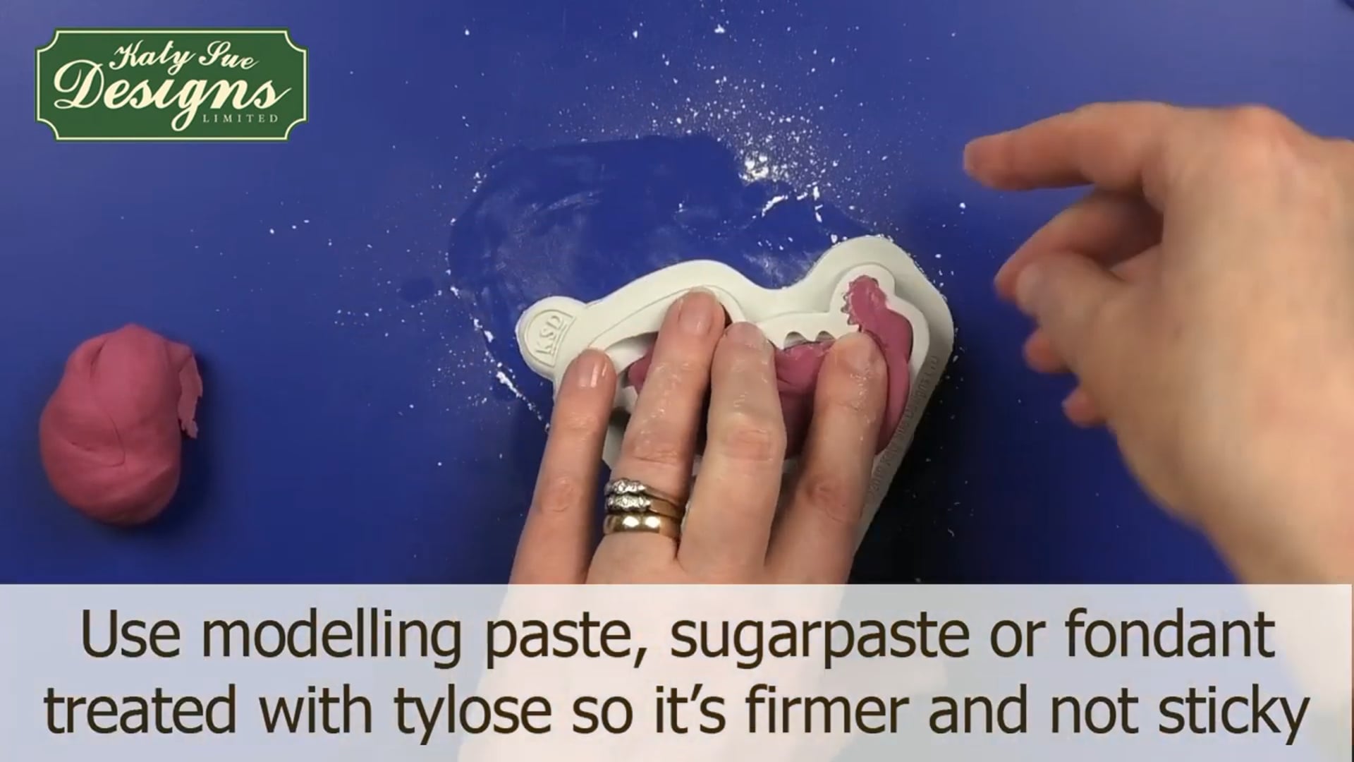 Dinosaur Cake Moulds for Katy Sue Designs