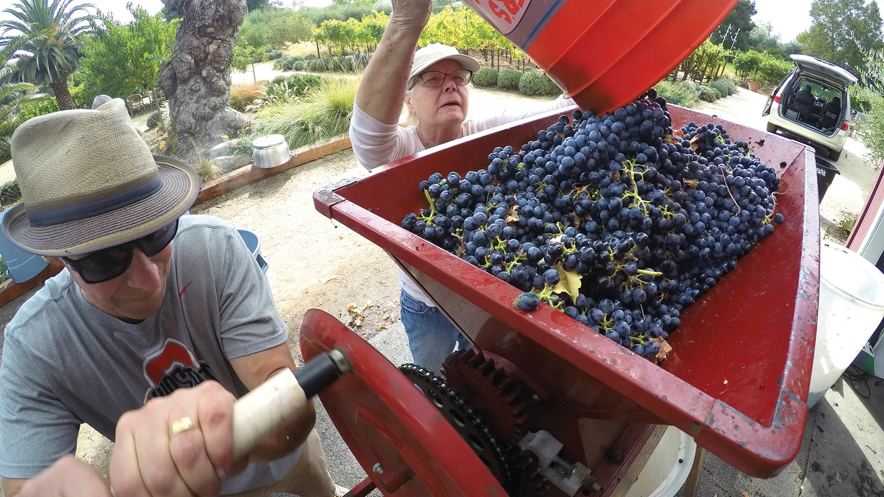 Tiny Vineyards Trailer on Vimeo