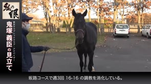 動画サムネイル