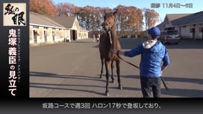 動画サムネイル