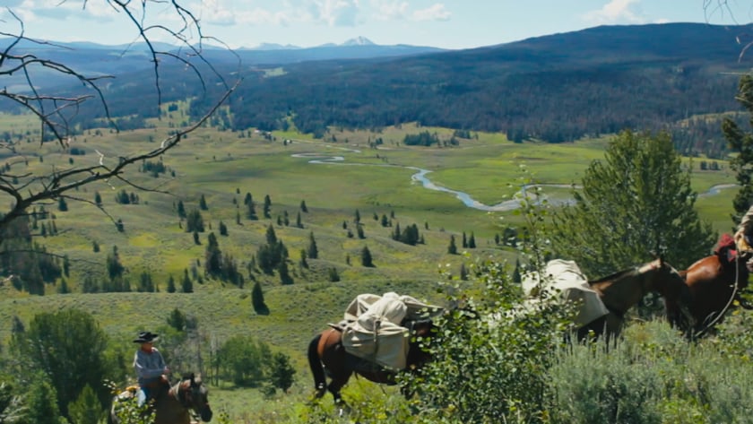 vimeo-video-thumbnail