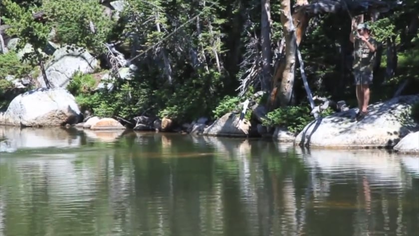 vimeo-video-thumbnail