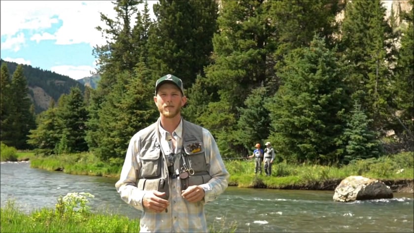 vimeo-video-thumbnail