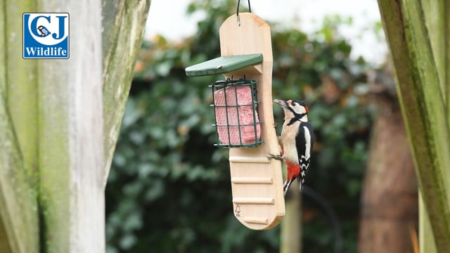 CJ Wildlife Woodpecker Bistro