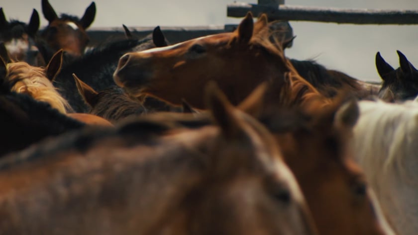 vimeo-video-thumbnail
