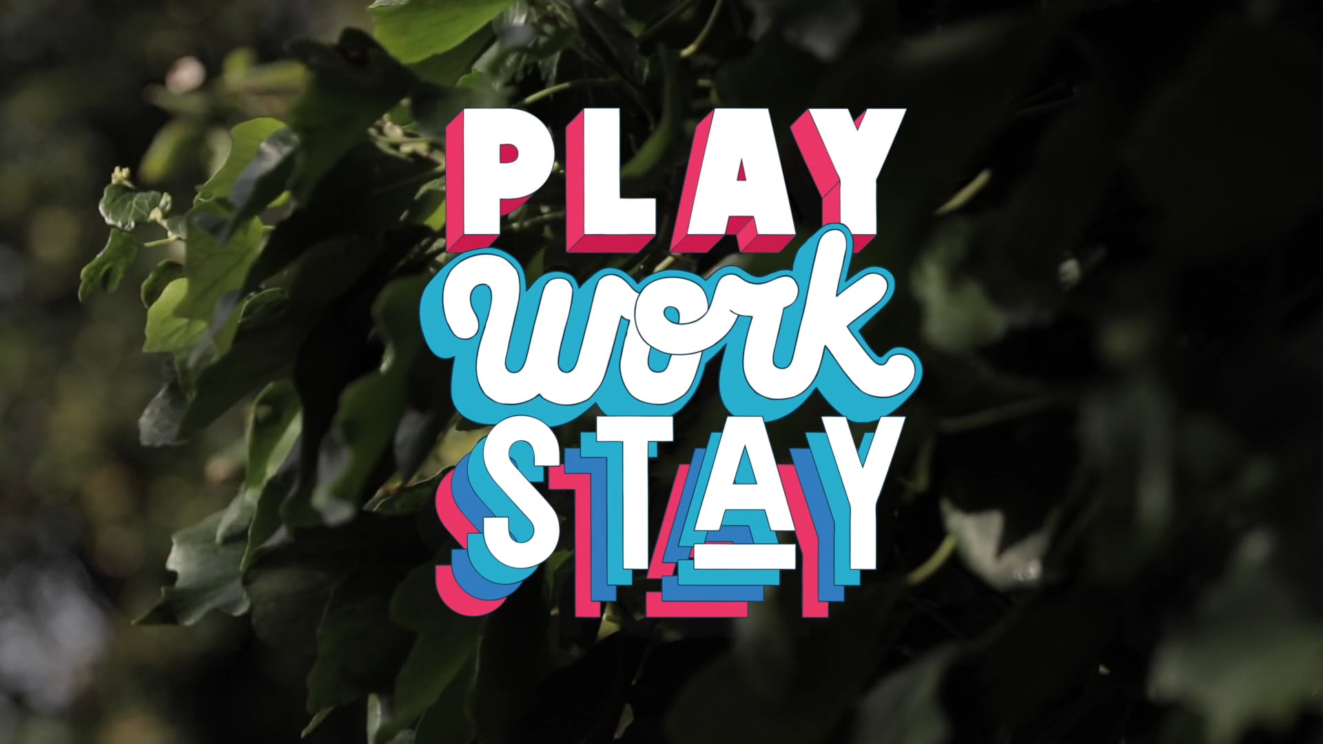Applying Creativity To Business - Play Work Stay