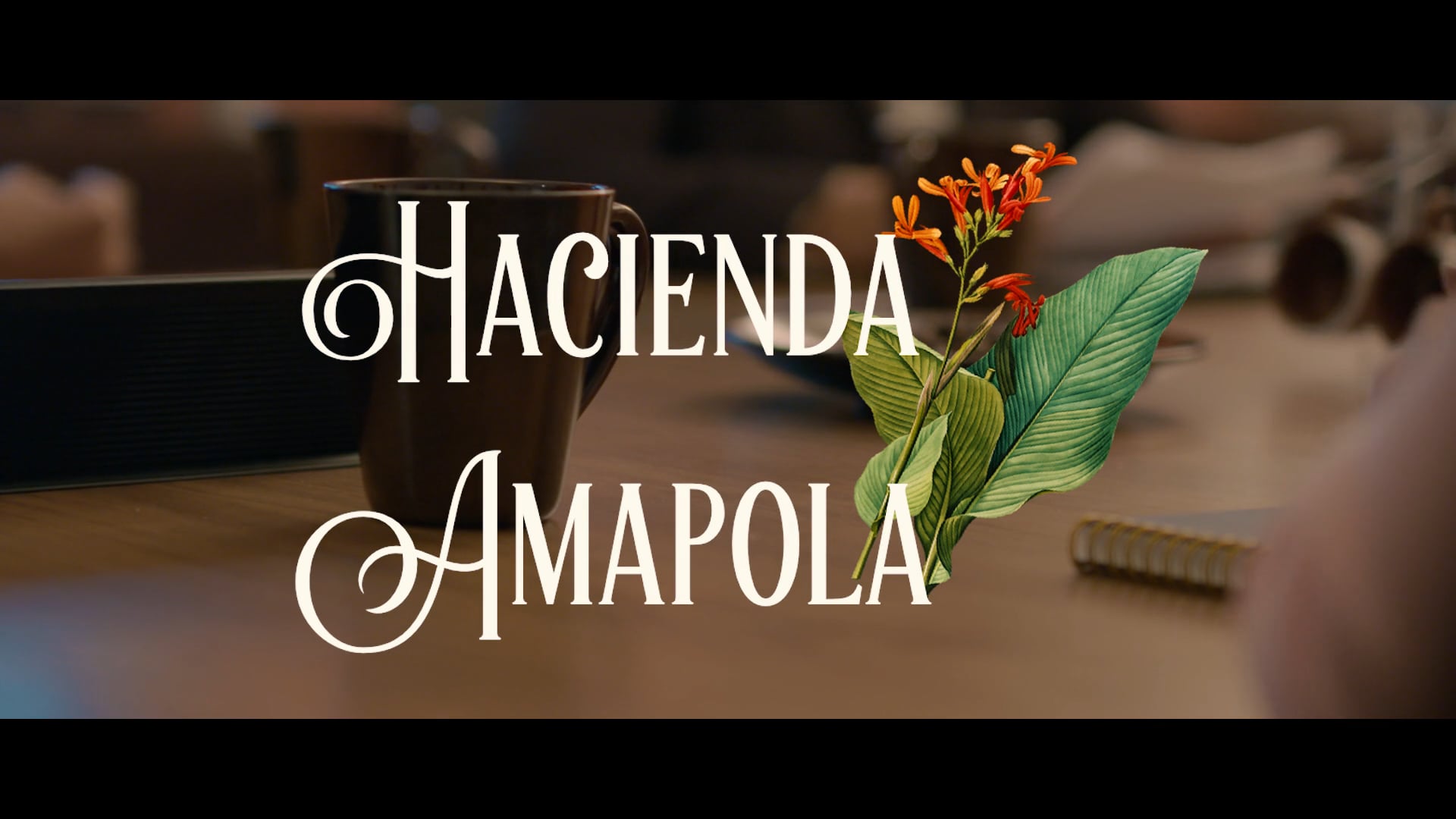 Hacienda Amapola