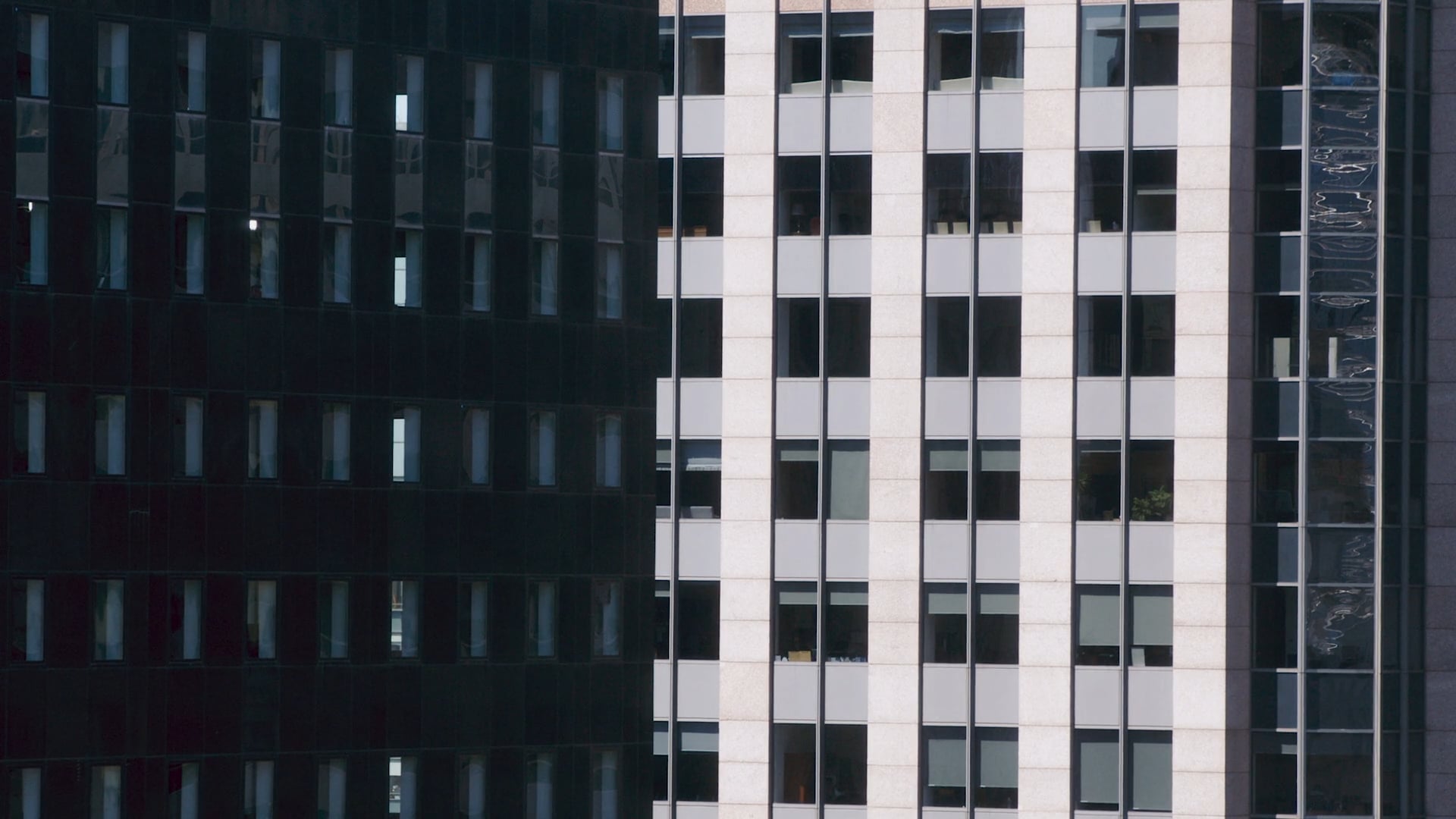 The Revolution Has Begun