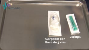 Toracocentesis