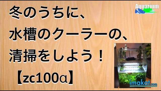 水槽のメンテ 水槽用クーラーを掃除してみた