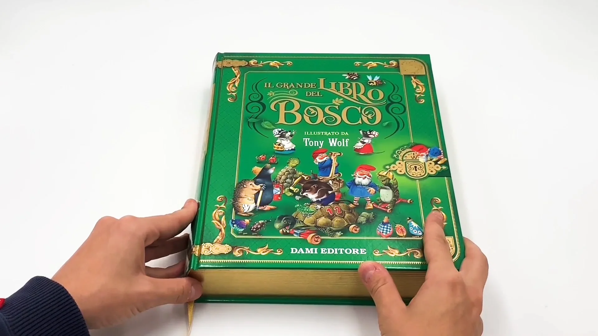 Il Grande libro del Bosco di Tony Wolf on Vimeo